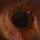 Illustration for article titled Shooting Challenge Eye Gallery 1